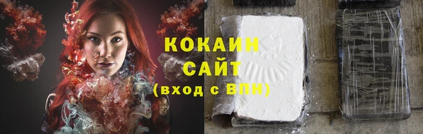 индика Навашино