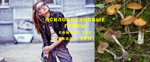 кокс Валдай